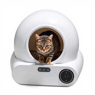 “Geniet van meer quality time met je kat!”